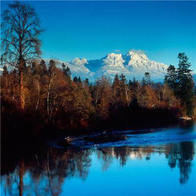 BSportAPP在线登录