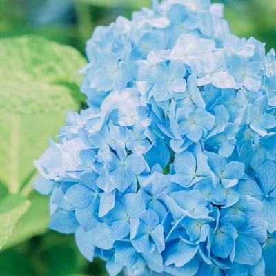 云顶集团手机app下载截图